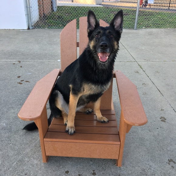 Meet The Posher - Picture 4 of 6